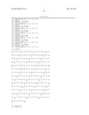 MESOTHELIN DOMAIN-SPECIFIC MONOCLONAL ANTIBODIES AND USE THEREOF diagram and image