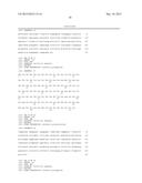 MESOTHELIN DOMAIN-SPECIFIC MONOCLONAL ANTIBODIES AND USE THEREOF diagram and image