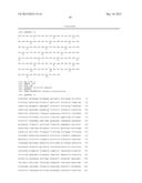 MESOTHELIN DOMAIN-SPECIFIC MONOCLONAL ANTIBODIES AND USE THEREOF diagram and image