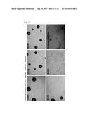 SYNTHETICALLY DESIGNED EXTRACELLULAR MICROENVIRONMENT diagram and image