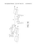 ANTI-MICROBIAL MODIFIED MATERIAL AND ANTI-MICROBIAL MODIFICATION METHOD diagram and image