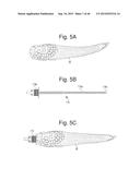 SYSTEMS FOR EXTRACTING MONOCOT EMBRYOS diagram and image