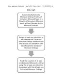 SYSTEMS FOR EXTRACTING MONOCOT EMBRYOS diagram and image