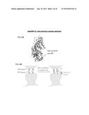 SPLIT PEROXIDASES AND METHODS OF USE diagram and image