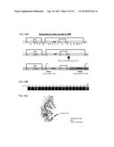 SPLIT PEROXIDASES AND METHODS OF USE diagram and image