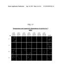 SPLIT PEROXIDASES AND METHODS OF USE diagram and image