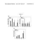 NOVEL UDP-GLYCOSYLTRANSFERASE DERIVED FROM GINSENG AND USE THEREOF diagram and image