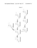 NOVEL UDP-GLYCOSYLTRANSFERASE DERIVED FROM GINSENG AND USE THEREOF diagram and image