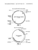 COMPOSITIONS AND METHODS OF US diagram and image