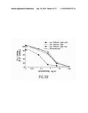 PREPARATION OF ANTIBODY OR AN ANTIBODY FRAGMENT TARGETED IMMUNOLIPOSOMES     FOR SYSTEMIC ADMINISTRATION OF THERAPEUTIC OR DIAGNOSTIC AGENTS AND USES     THEREOF diagram and image