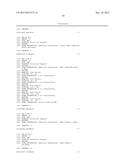 PREPARATION OF ANTIBODY OR AN ANTIBODY FRAGMENT TARGETED IMMUNOLIPOSOMES     FOR SYSTEMIC ADMINISTRATION OF THERAPEUTIC OR DIAGNOSTIC AGENTS AND USES     THEREOF diagram and image