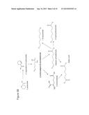 BIOLOGICAL SYNTHESIS OF DIFUNCTIONAL HEXANES AND PENTANES FROM     CARBOHYDRATE FEEDSTOCKS diagram and image