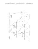 BIOLOGICAL SYNTHESIS OF DIFUNCTIONAL HEXANES AND PENTANES FROM     CARBOHYDRATE FEEDSTOCKS diagram and image