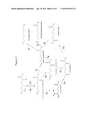 BIOLOGICAL SYNTHESIS OF DIFUNCTIONAL HEXANES AND PENTANES FROM     CARBOHYDRATE FEEDSTOCKS diagram and image