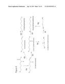 BIOLOGICAL SYNTHESIS OF DIFUNCTIONAL HEXANES AND PENTANES FROM     CARBOHYDRATE FEEDSTOCKS diagram and image