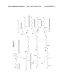 BIOLOGICAL SYNTHESIS OF DIFUNCTIONAL HEXANES AND PENTANES FROM     CARBOHYDRATE FEEDSTOCKS diagram and image