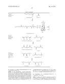 BIOLOGICAL SYNTHESIS OF DIFUNCTIONAL HEXANES AND PENTANES FROM     CARBOHYDRATE FEEDSTOCKS diagram and image