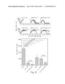 IDENTIFICATION OF TUMOR-PROTECTIVE EPITOPES FOR THE TREATMENT OF CANCERS diagram and image