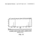 Liquid Metal Cleanliness Analyzer diagram and image