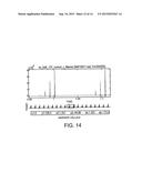 Liquid Metal Cleanliness Analyzer diagram and image