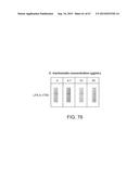 METHODS AND DEVICES FOR INTEGRATING ANALYTE EXTRACTION, CONCENTRATION AND     DETECTION diagram and image