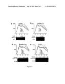 Methods and Compositions for Detecting Botulinum Neurotoxin diagram and image