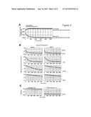 Methods and Compositions for Detecting Botulinum Neurotoxin diagram and image