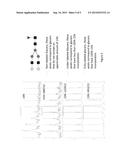 Isotopically Labeled Glycans and Methods for Producing the Same diagram and image