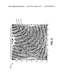 MINIATURIZED OPTICAL BIOMETRIC SENSING diagram and image