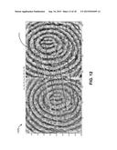 MINIATURIZED OPTICAL BIOMETRIC SENSING diagram and image