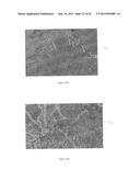 POINT CLOUD DATA HIERARCHY diagram and image