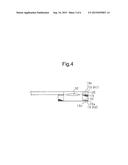 ELECTRICITY STORAGE DEVICE AND WELDING METHOD diagram and image