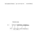 INTERLACED PARTICULATE FILTER diagram and image