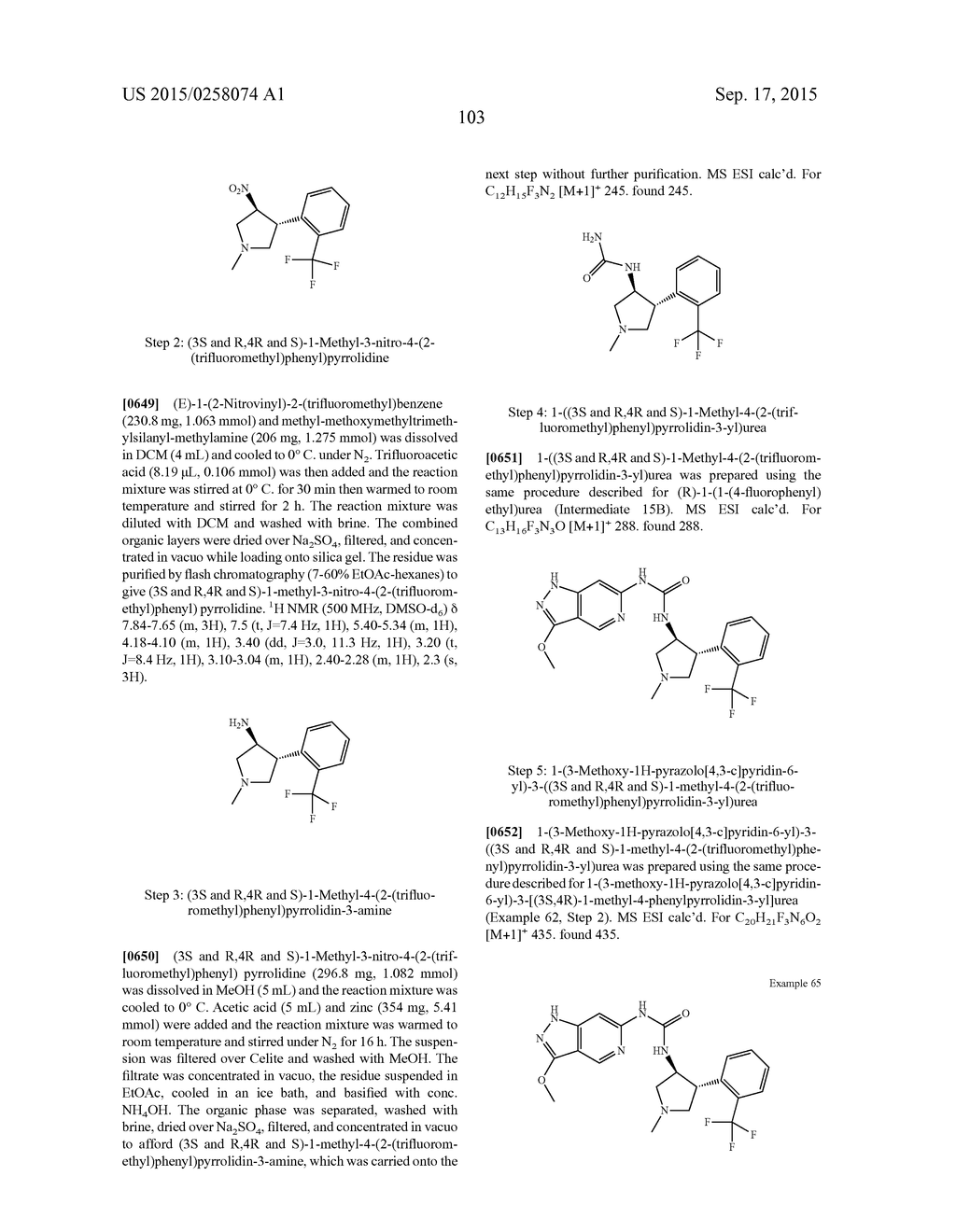 NOVEL COMPOUNDS THAT ARE ERK INHIBITORS - diagram, schematic, and image 104