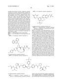 SOLID ANTIVIRAL DOSAGE FORMS diagram and image