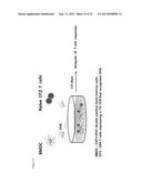 METHODS AND COMPOSITIONS FOR TREATMENT OF TH2-MEDIATED AND TH17-MEDIATED     DISEASES diagram and image