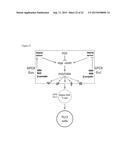 METHODS AND COMPOSITIONS FOR TREATMENT OF TH2-MEDIATED AND TH17-MEDIATED     DISEASES diagram and image