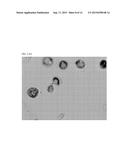 Compositions, Methods and Systems for Cellular Differentiation from Stem     Cells diagram and image