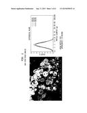 COMPOSITIONS AND METHODS FOR PREVENTING OR TREATING CHRONIC LUNG ALLOGRAFT     DYSFUNCTION (CLAD) AND IDIOPATHIC PULMONARY FIBROSIS (IPF) diagram and image