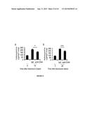 COMPOSITIONS AND METHODS FOR PREVENTING OR TREATING CHRONIC LUNG ALLOGRAFT     DYSFUNCTION (CLAD) AND IDIOPATHIC PULMONARY FIBROSIS (IPF) diagram and image