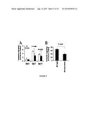 COMPOSITIONS AND METHODS FOR PREVENTING OR TREATING CHRONIC LUNG ALLOGRAFT     DYSFUNCTION (CLAD) AND IDIOPATHIC PULMONARY FIBROSIS (IPF) diagram and image