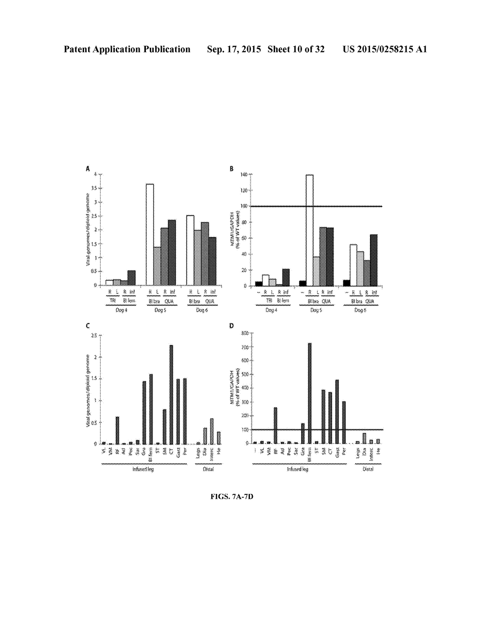 Systemic Gene Replacement Therapy for Treatment of X-Linked MyoTubular     Myopathy (XLMTM) - diagram, schematic, and image 11