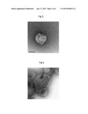 ELECTROSTATIC-BONDING-TYPE VESICLE INCLUDING METAL MICROPARTICLES diagram and image