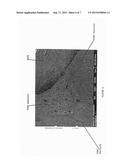 POROUS COMPOSITE MEMBRANE MATERIALS AND APPLICATIONS THEREOF diagram and image