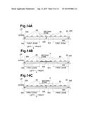 Inkjet Recording Apparatus diagram and image