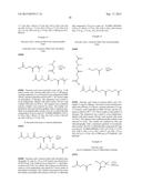 PROTECTED SUCCINATES FOR ENHANCING MITOCHONDRIAL ATP-PRODUCTION diagram and image