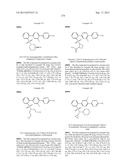 FLAP MODULATORS diagram and image