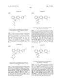 FLAP MODULATORS diagram and image