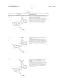 RSV ANTIVIRAL COMPOUNDS diagram and image