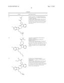 RSV ANTIVIRAL COMPOUNDS diagram and image